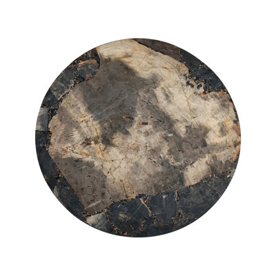 Fossilised Petrified Wood Accent Table