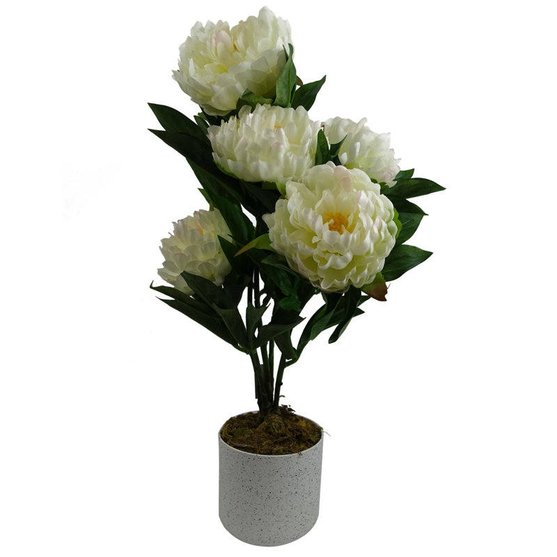 Plastic, Silk Peony Arrangement in Pot