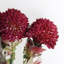 Artificial Arrangement-106401551