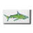 'Watercolor Shark II' by Linda Woods, Canvas Wall Art-1848120154