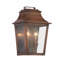 Lanterne murale d'extérieur Hazeldell-24030974-24030975