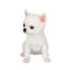Polyresin Garden Statue-364149139