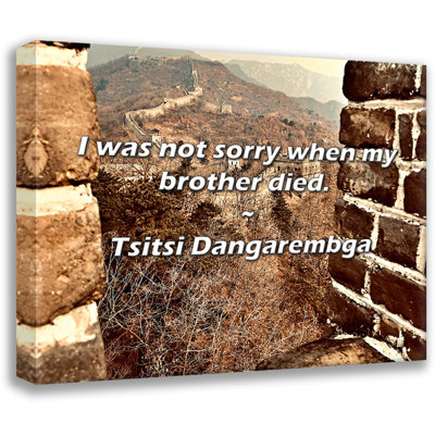 Tsitsi Dangarembga Quote: I was not sorry when my brother died.