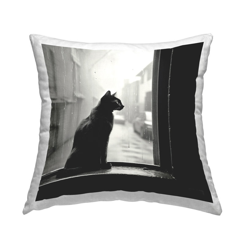 Coussin Cat