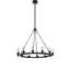 12 - Light Chandelier