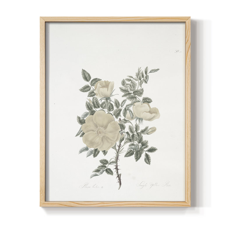 Impression florale vintage encadrée CXLIV - bois massif, Natural, H 21 po x l 17 po