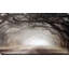 Intemporel Plantation Drive - Peinture-1946834545-1978999901