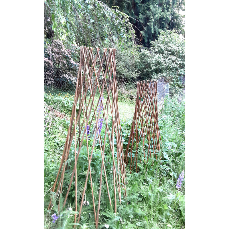 Treillage extensible en bois de saule, Brun clair, H 72 po x l 20 po x P 20 po