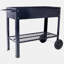 Produits Jardin surélevé mobile surélevé et ergonomique pour jardin, terrasse avec roues, tablette inférieure, noir