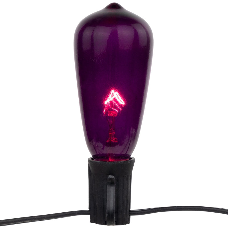 10ct Purple and Orange Edison E17 Halloween Light Set 9ft Black Wire