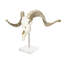 Polished African Merino Full Skull on Lucite Stand