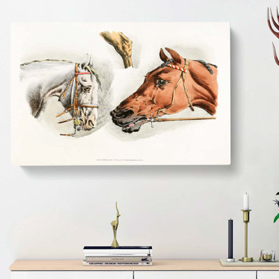 Illustrations Of Horses by Henry Thomas Alken - Wrapped Canvas