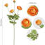 4 pièces fleurs de soie artificielle renoncule persan pour la maison décoration de mariage arrangement floral projet de bricolage-624846495