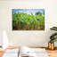 Plantation de bananes Harnek-108888019