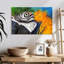 Brampt Macaw Eye-107849542