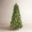 Tiffany Green Fir Artificial Christmas Tree with Clear Lights with Stand-1987196294