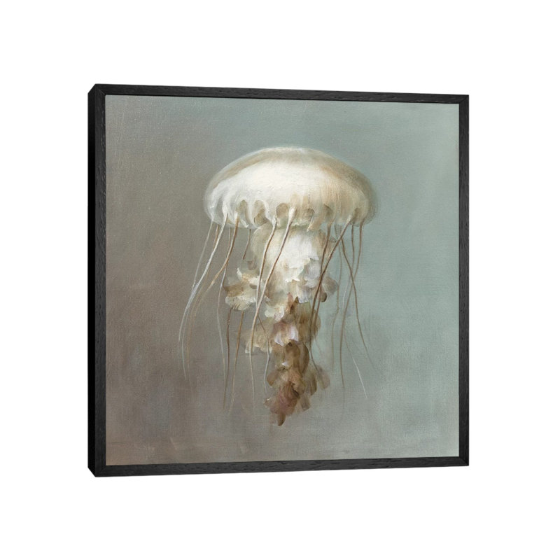 Treasures From The Sea VI by Danhui Nai - Print on Canvas, Black Framed, 93.98 cm H x 93.98 cm W