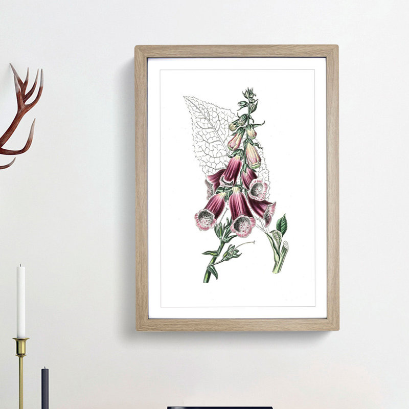 Foxglove Flowers Illustration - Framed Print, Oak Framed, 36cm H x 27cm W x 2cm D