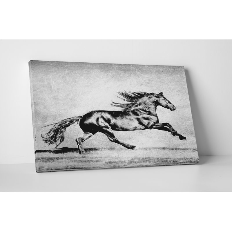 « b&w cheval ii », impression sur toile, H 27 po x l 18 po x P 1 po