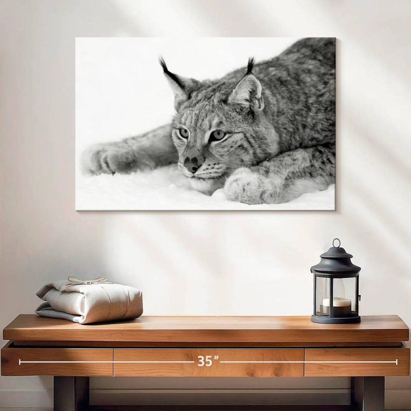 Brampt Lynx BW, 16" H x 24" W