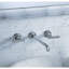 Purist® Wall mounted Bathroom Faucet-1750049