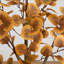 3Ft. Autumn Eucalyptus Artificial Tree