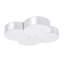 Amiyrah Flush Mount