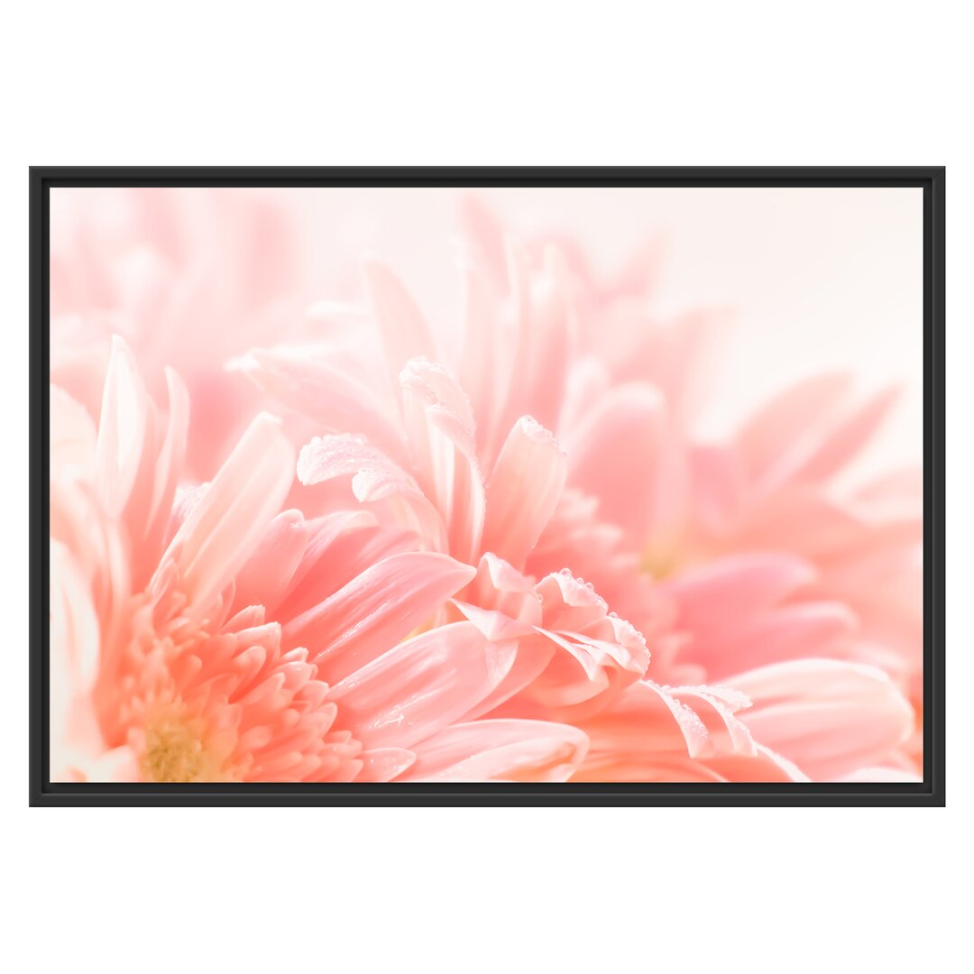 Gerahmtes Wandbild Gerbera Blume