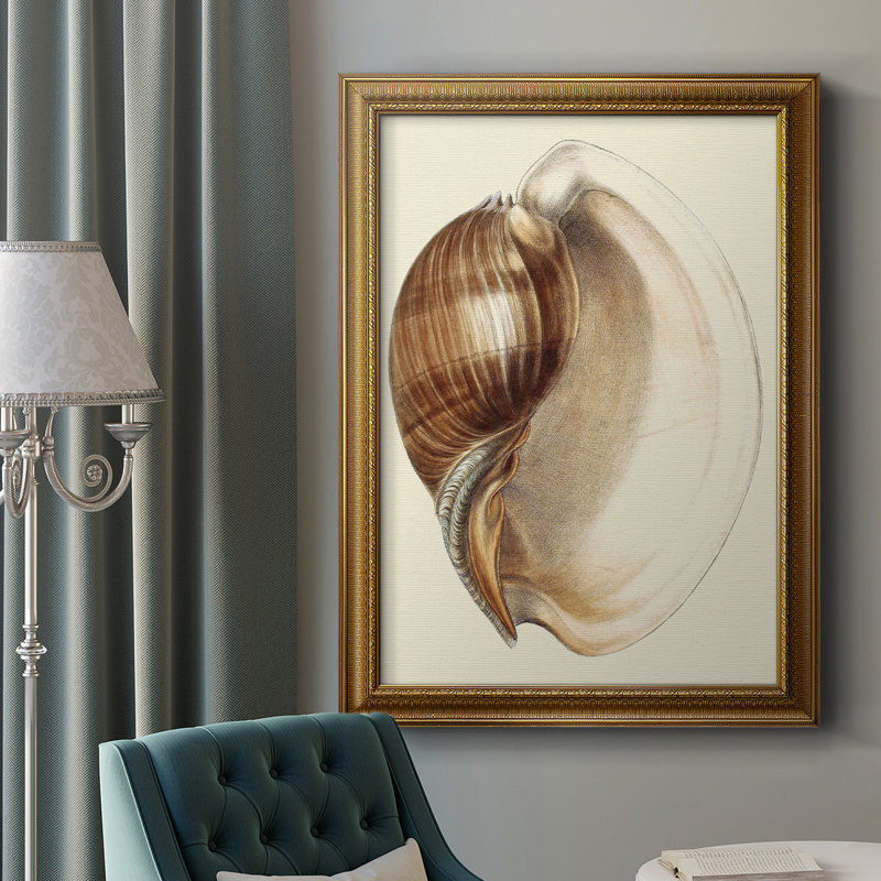 Splendid Shells III - Peinture sur toile encadrée, H 20 po x l 16 po x P 2,5 po