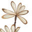 0,5 plante