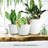 Plant Pots Indoor With Drainage - 7/6.6/6/5.3/4.8 Inches Flower Pots For Indoor Planter - 5 Pack Plastic Planters - Ideal For Stocking Stuffers Or Home Christmas Decorations-1413936378