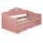 Rose est en rupture de stock