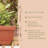Classic Deck Rail Traditional Plastic Indoor/Outdoor Wide Oval Planter-1433004635-1359176167