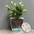 7" Round Bamboo Self-Watering Indoor/Outdoor Plant Pot-78074534
