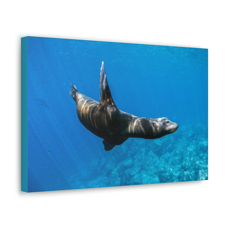 No Frame Print on Canvas, 11cm H x 14cm W