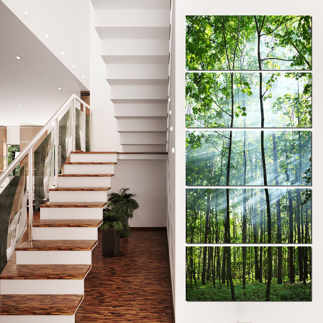 5 - Pieces Design Art