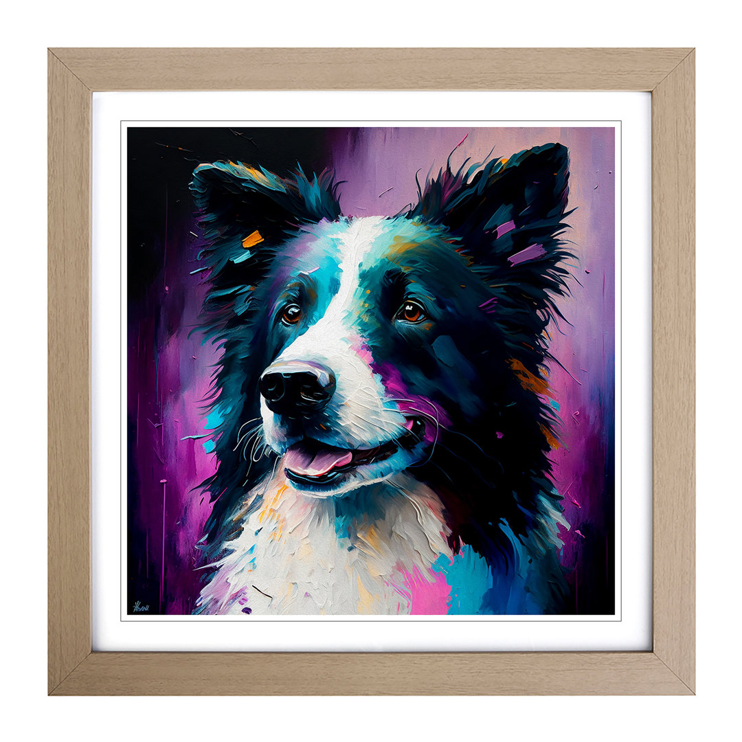 Border Collie Painting - Framed Print
