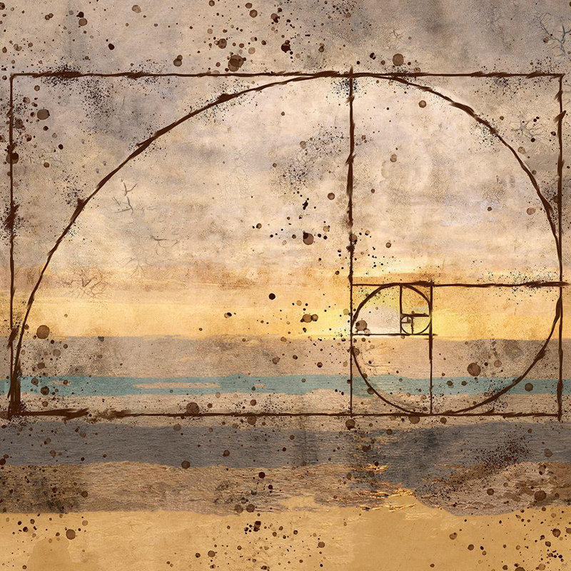 Art sur toile tendue par Wiley, Marta Gallery, art: Fibonacci Shell, H 20 po x l 20 po