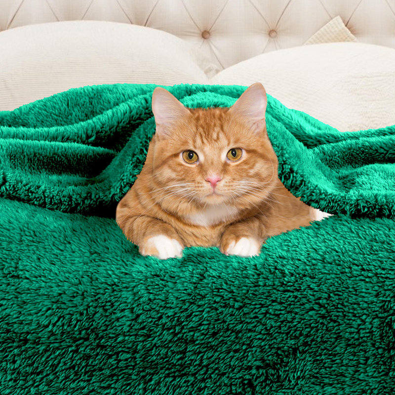 Superior Solid Reversible All-Season Fleece Blanket, Evergreen, Twin