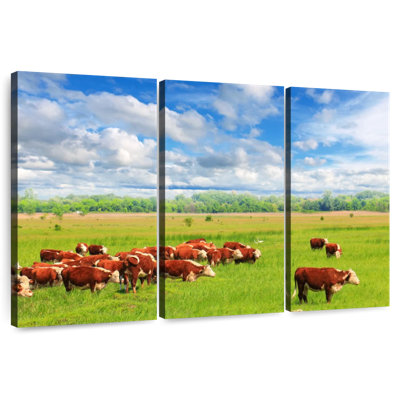 Brampt Grazing Hereford Cows