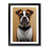 Black Framed selected