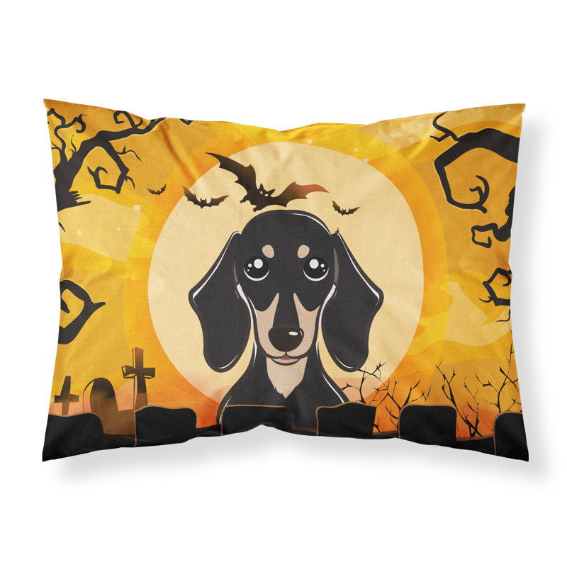  Taie d'oreiller Halloween Schnauzer, Teckel noir et brun clair