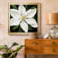 «Midnight Magnolia I», reproduction encadrée de qualité supérieure - prête à être accrochée-1312969340-1312929613-1312906268
