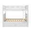 Joise Kids Full Over Full Bunk Bed with Trundle-1603766624