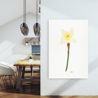 Fresh Spring Daffodil Delicate Elegant Minimalist Daffodil Flower Nature Wall Art Print by NKTN - Wrapped Canvas Print