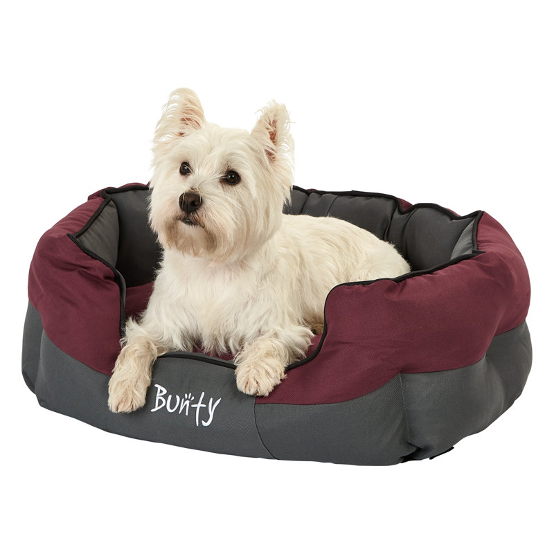 Levesque Polyester Pet Bed, Red, 46cm H x 56cm W x 27cm D