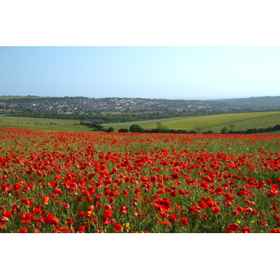 Ellensburg Poppy Field - Wrapped Canvas Print