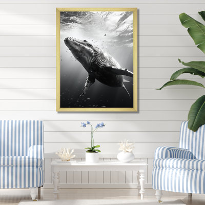 Whale Dance II - Whale Animal, art mural