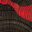 He Hongbin's Crimson Rift