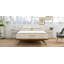 Avocado Molded Latex Pillow-1288732132-1288732141
